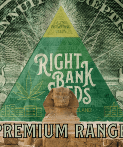 RBS Premium Seeds