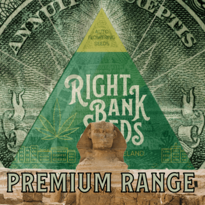 RBS Premium Seeds