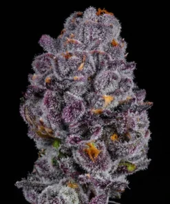 Lemon Cherry Pie